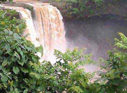 Bird Watching & Nature Package