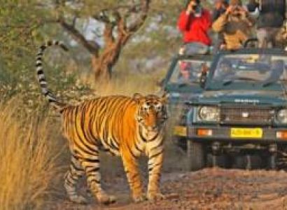 Delhi Ranthambore Weekend Tour 2night 3 Days