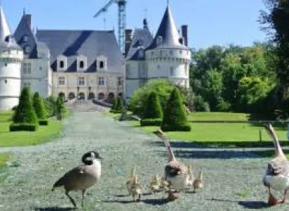 A Tale of Two Cities Tour