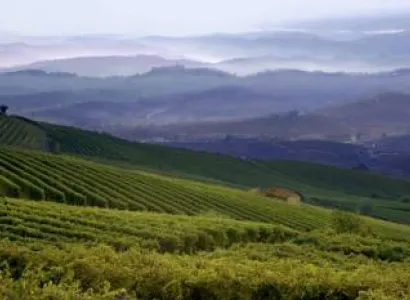 Piedmont: Wines,Castles and Maggiore Lake Tour