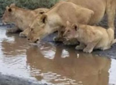 luxury Holiday (2 pax) Tour