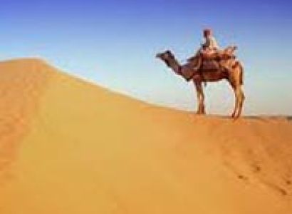 Enjoyable Rajasthan Tour