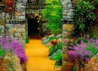 Bangalore, Mysore, Ooty Tour