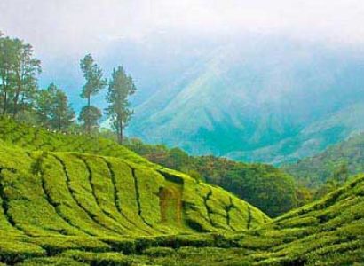Bangalore - Mysore - Ooty - Munnar - Thekkady - Alleppy Tour