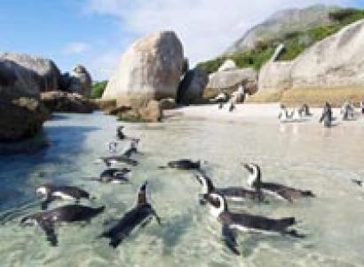 South African Sojourn Tour