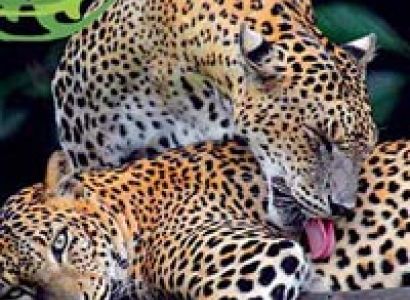 Ramayana Tour for 14 Nights & 15 Days