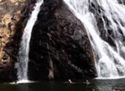 Dudhsagar Waterfalls Day Trip In Goa Tour