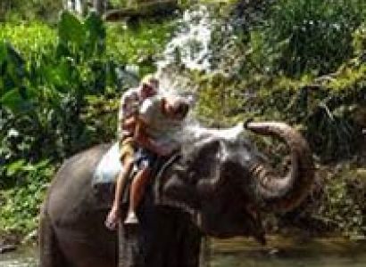 Spice Plantation With a Elephant's Day Out Tour