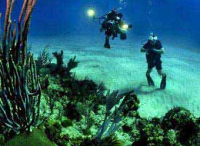 Marine Scuba Diving In Goa Trip Tour