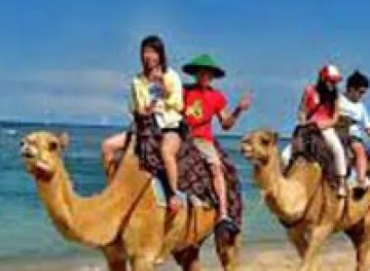 Historical Splendour 8N/9D Tour