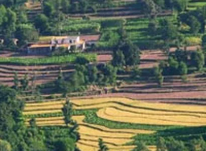 Himachal Highlight with Kasauli Tour