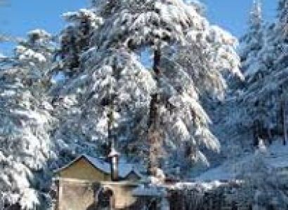 Shimla - The Majestic Land Tour