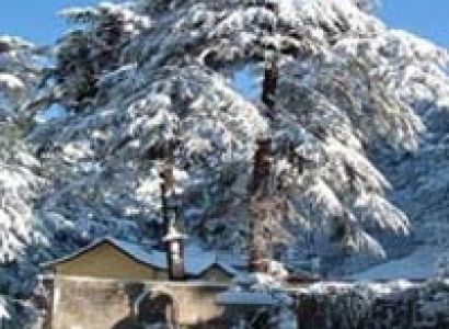 Wonderful Tour Of Shimla