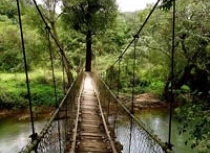 Mysore Coorg Ooty Tour