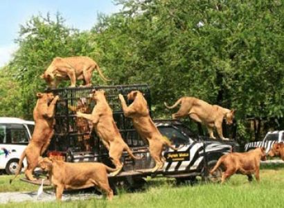 Simply Thailand Package