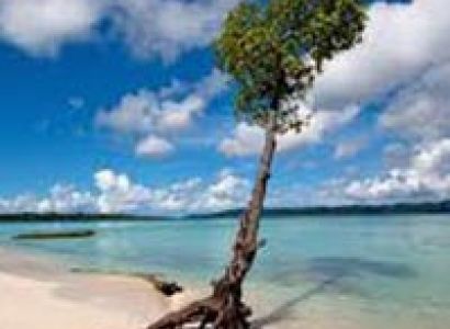 Port Blair, Havelock 4 Nights 5 Days Tour