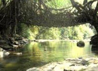 Meghalaya - Kaziranga - Nameri Tour