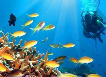 Wonderful Andaman Tour Package