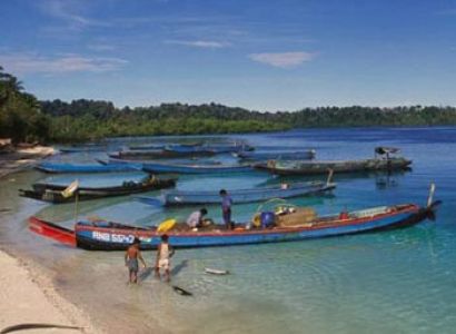 The Ultimate Beach  Tour