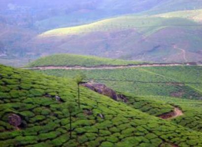 Kerala - Plantations and Backwaters Packages