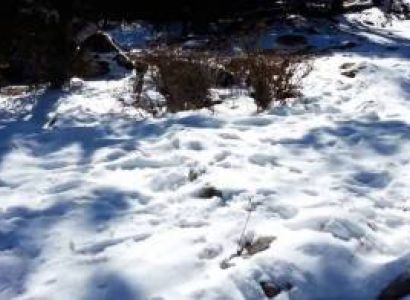 North Sikkim Package