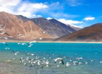 Ladakh with Pangong & Nubra Tour