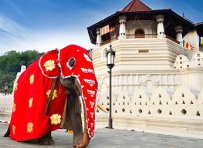 Sri Lanka  Delights Package