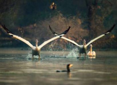 Overnight Agra Bharatpur Tour