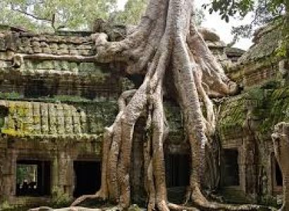 7 Day Tour South Vietnam & Cambodia