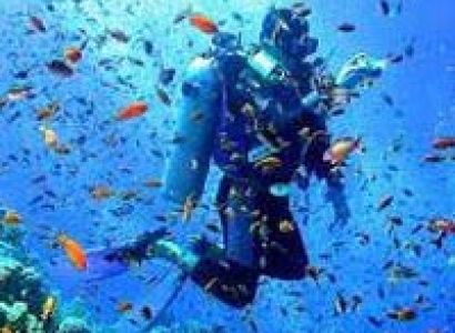 Andaman Honeymoon Tour Package