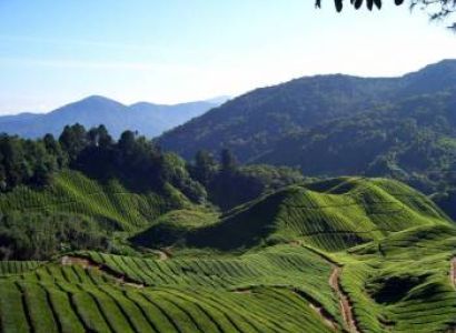 Kodai – Munnar from Bangalore Tour Package