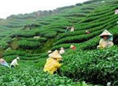 Welcome To North East Tour