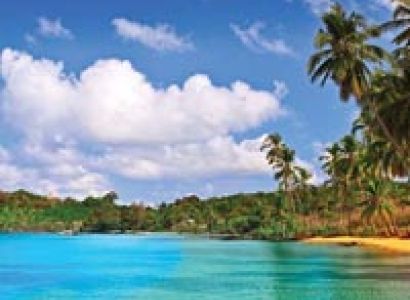 Family Deluxe Package - ( 4N / 5D )