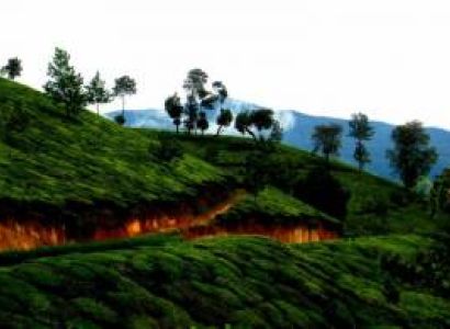 Incredible Kerala Tour Package