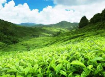 Amazing Kerala Tour Package