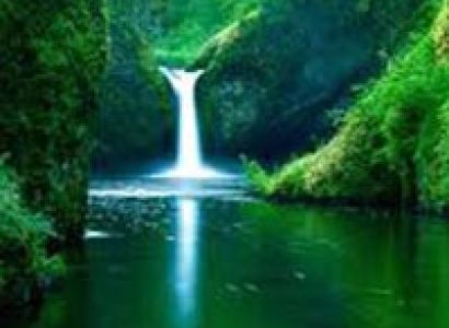 Taman Negara National Park Package