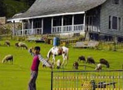 Delhi - Dharamshala - Dalhousie 04 Nights / 05 Days Tour