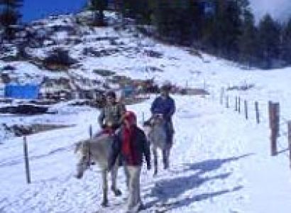 Shimla Honeymoon Tour Package