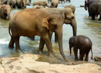 Srilankan Adventures Tour