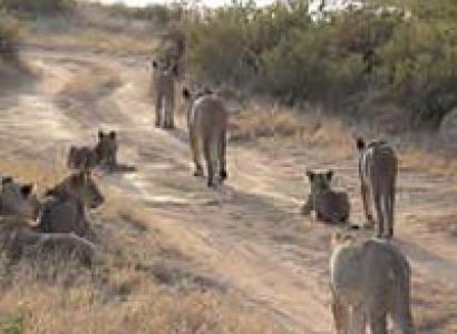 3 Days Samburu Game Reserve Tour