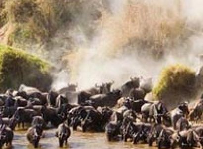 4 Days Maasai Mara-Lake Nakuru Tour