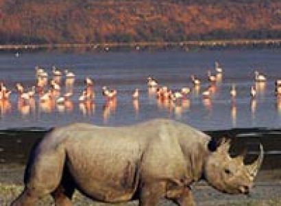 5 Days Maasai Mara-Lake Nakuru-Lake Bogoria-Lake Baringo