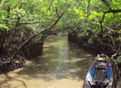 Andaman Honeymoon Tour Package 6N/7D