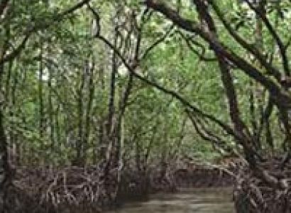 3 Nights at Port Blair Tour