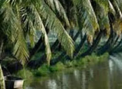 3N4D - Port blair Tour