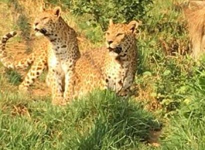 Journey to Corbett Tour