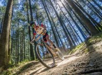 Cycling in Bir Billing Tour