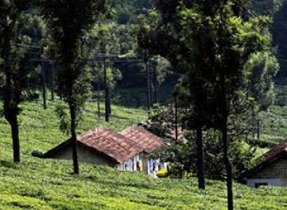 Women's Special North East Tour