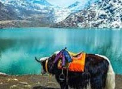 Sikkim Pacakge(7D & 6N)