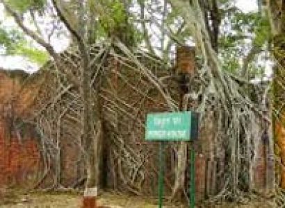 Special Andaman Tour Package